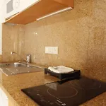 La Lleona Gerona