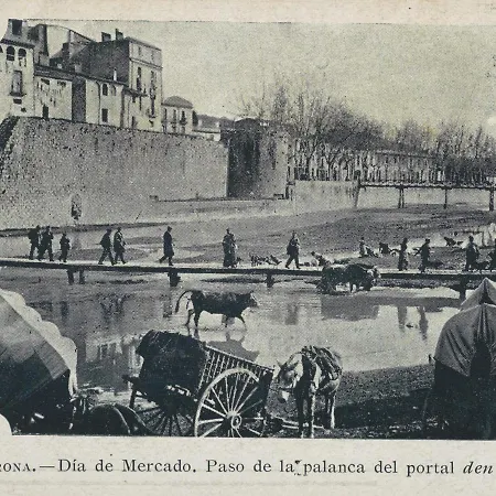 La Lleona *